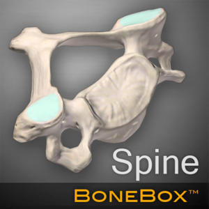 BoneBox - Spine Viewer для Мак ОС