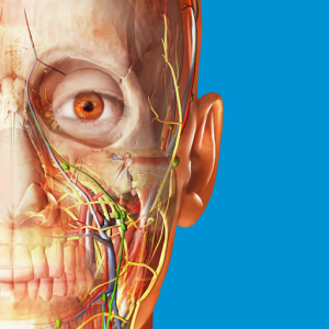 Human Anatomy Atlas 2017 Mac OS X
