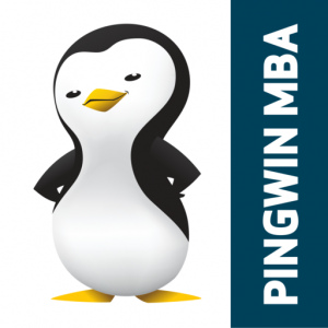 PingWin MBA для Мак ОС