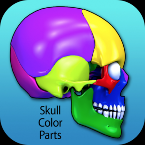 Skull Color Parts для Мак ОС
