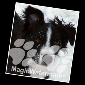 MagicWatermarks 3 для Мак ОС