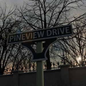 Pineview Drive 1 для Мак ОС